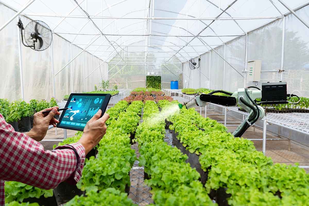 AI Bukan Lagi Fiksi: Dari Sawah Hingga Kantor, Revolusi Kecerdasan Buatan Semakin Nyata Hari Ini